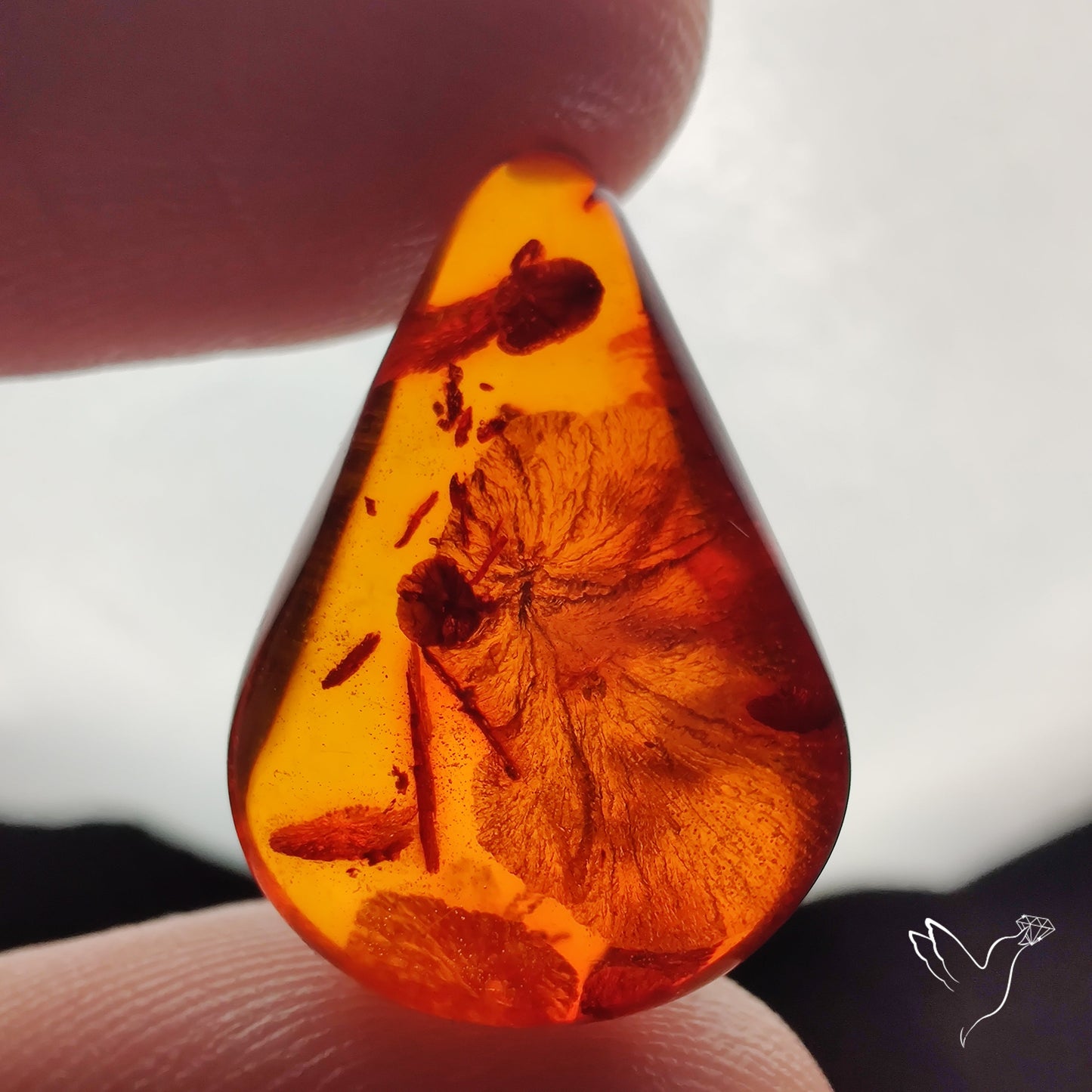 Baltic Amber Cabochon