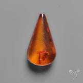 Baltic Amber Cabochon