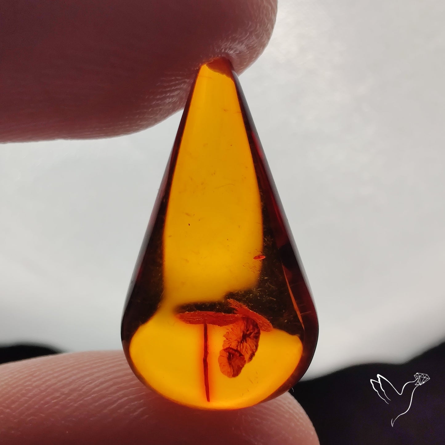 Baltic Amber Cabochon