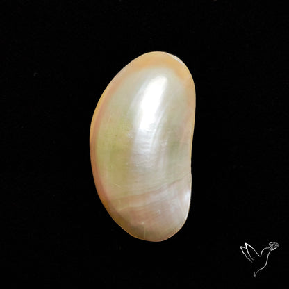 Mabe Pearl