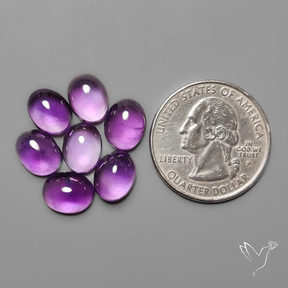 Amethyst Cabochons Lot