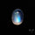 Rainbow Moonstone Cabochon