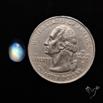 Rainbow Moonstone Cabochon