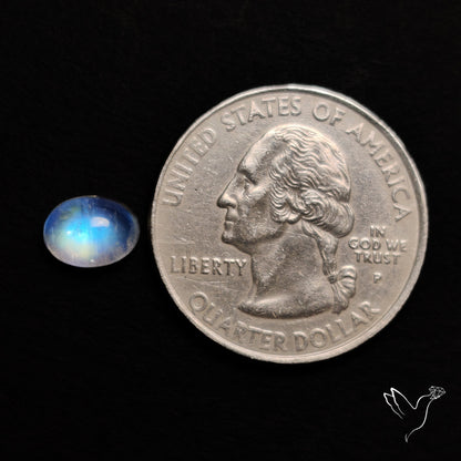 Rainbow Moonstone Cabochon