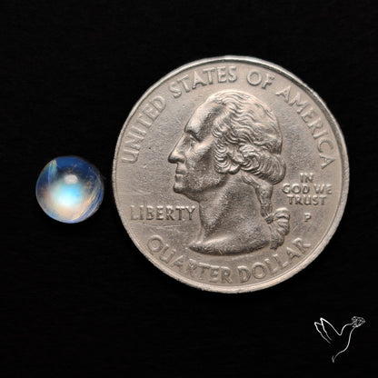 Rainbow Moonstone Cabochon