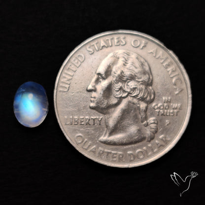 Rainbow Moonstone Cabochon