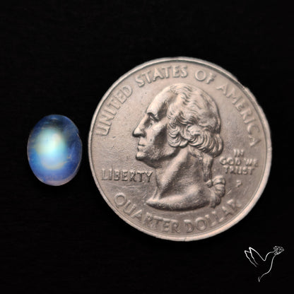 Rainbow Moonstone Cabochon