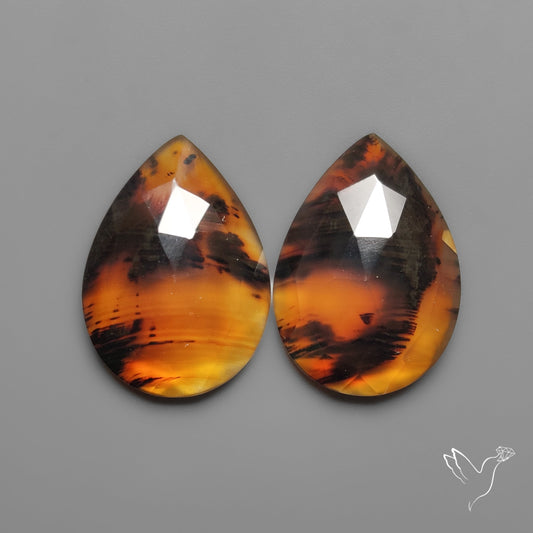 Rose Cut Montana Agates Pair