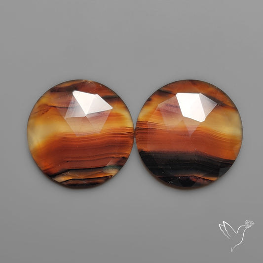 Rose Cut Montana Agates Pair