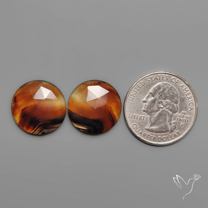 Rose Cut Montana Agates Pair