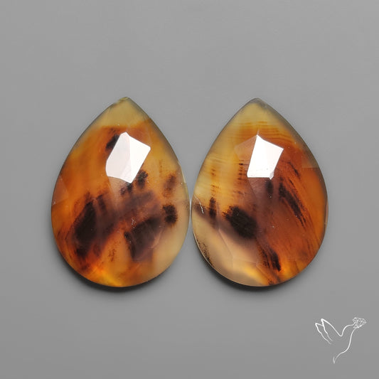 Rose Cut Montana Agates Pair