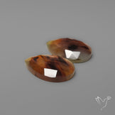 Rose Cut Montana Agates Pair
