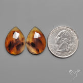 Rose Cut Montana Agates Pair
