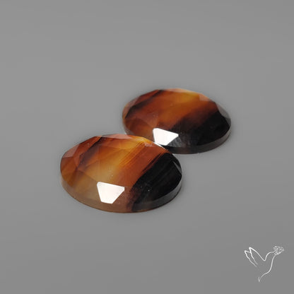 Rose Cut Montana Agates Pair