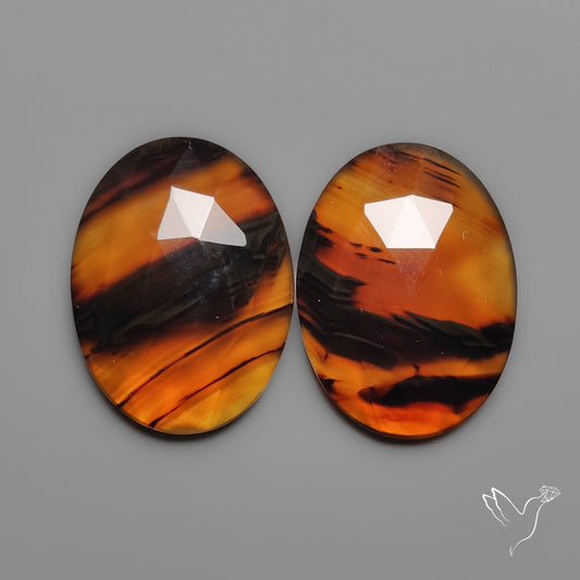 Rose Cut Montana Agates Pair
