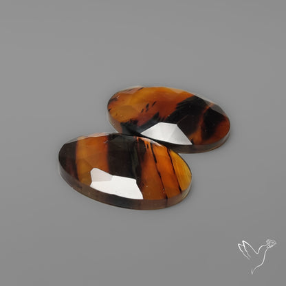Rose Cut Montana Agates Pair