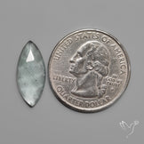 Rose Cut Moss Aquamarine