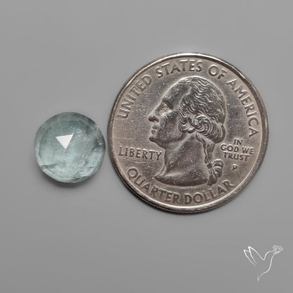 Rose Cut Moss Aquamarine