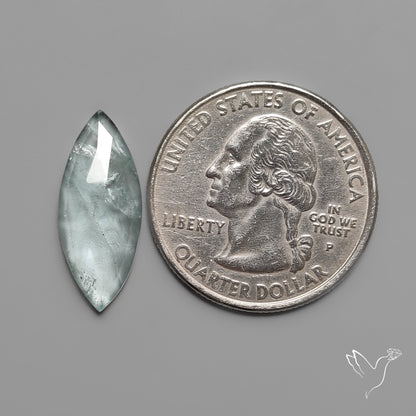 Rose Cut Moss Aquamarine