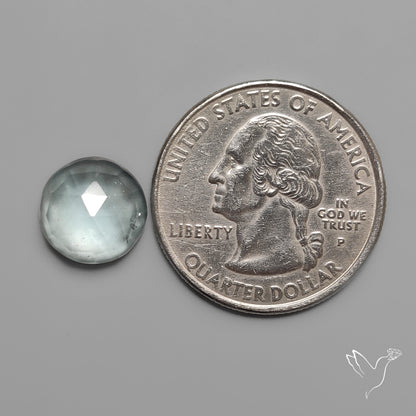 Rose Cut Moss Aquamarine