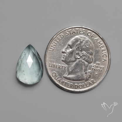 Rose Cut Moss Aquamarine