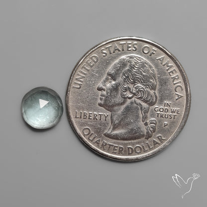 Rose Cut Moss Aquamarine