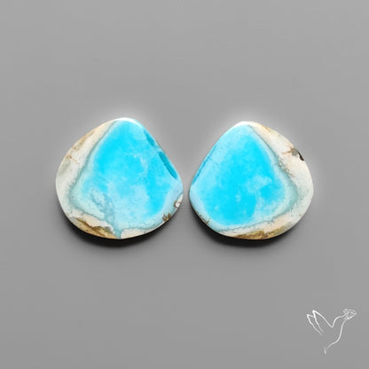 Golden Hill Turquoise Pair