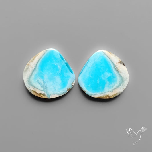 Golden Hill Turquoise Pair