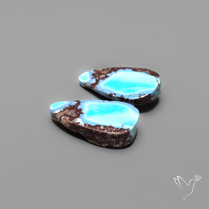 Golden Hill Turquoise Pair