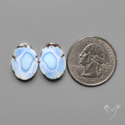 Golden Hill Turquoise Pair