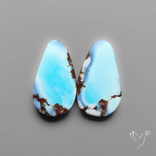 Golden Hill Turquoise Pair