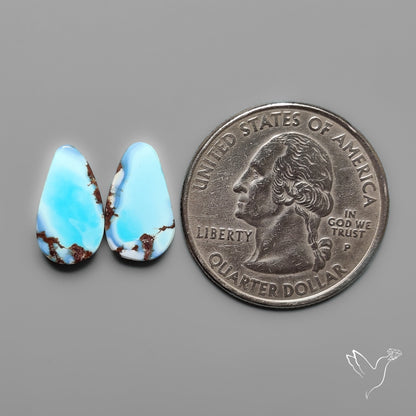 Golden Hill Turquoise Pair