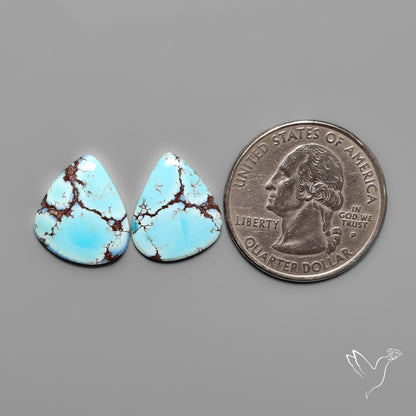 Golden Hill Turquoise Pair