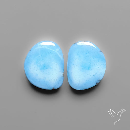 Golden Hill Turquoise Pair