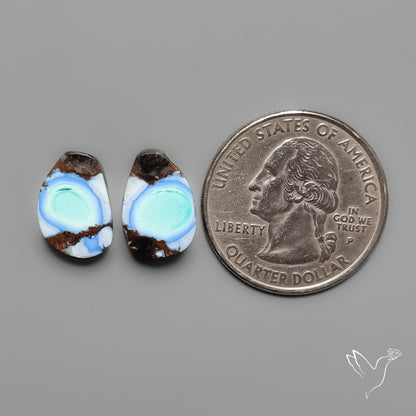 Golden Hill Turquoise Pair