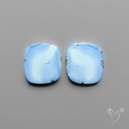 Golden Hill Turquoise Pair