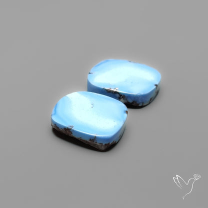 Golden Hill Turquoise Pair