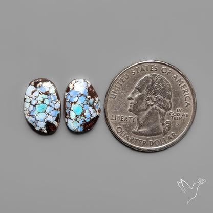 Golden Hill Turquoise Pair