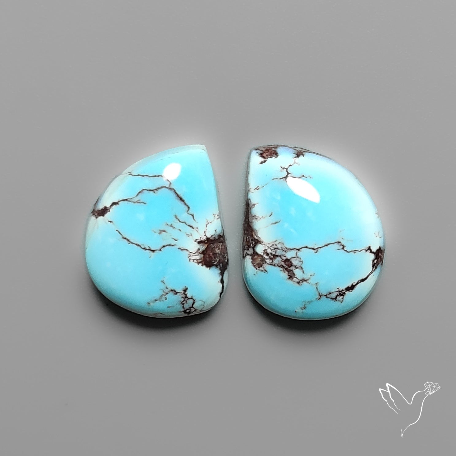 Golden Hill Turquoise Pair