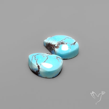 Golden Hill Turquoise Pair