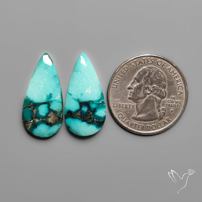 Hubei Turquoise Pair