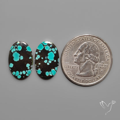Hubei Turquoise Pair