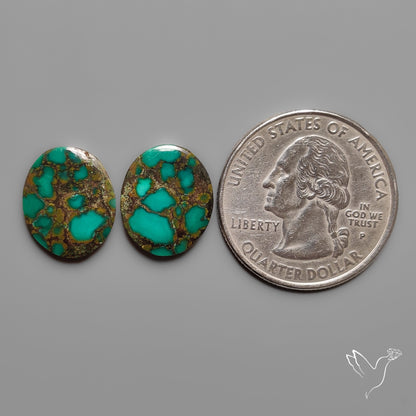 Hubei Turquoise Pair