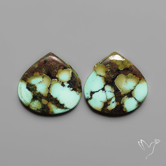 Hubei Turquoise Pair