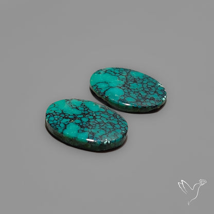 Hubei Turquoise Pair