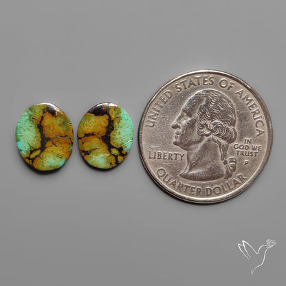 Hubei Turquoise Pair