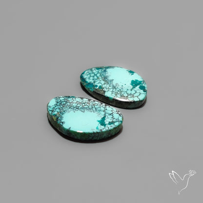 Hubei Turquoise Pair
