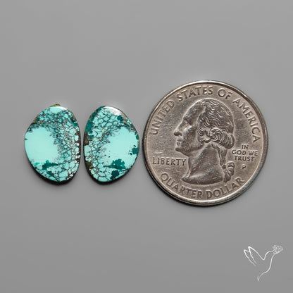 Hubei Turquoise Pair