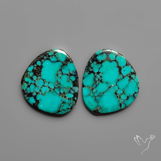Hubei Turquoise Pair