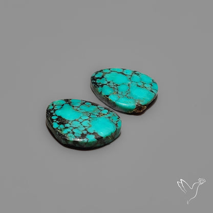 Hubei Turquoise Pair